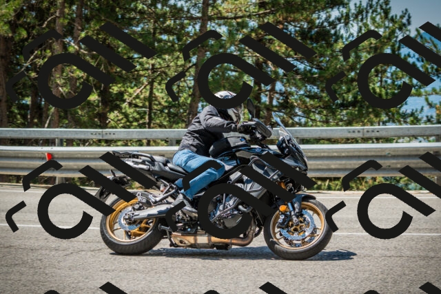 202508091139-DSC04048_c1_