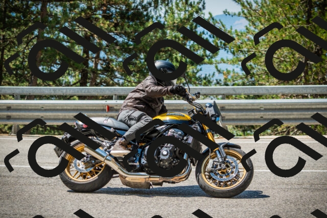 202508091139-DSC04049_c1_