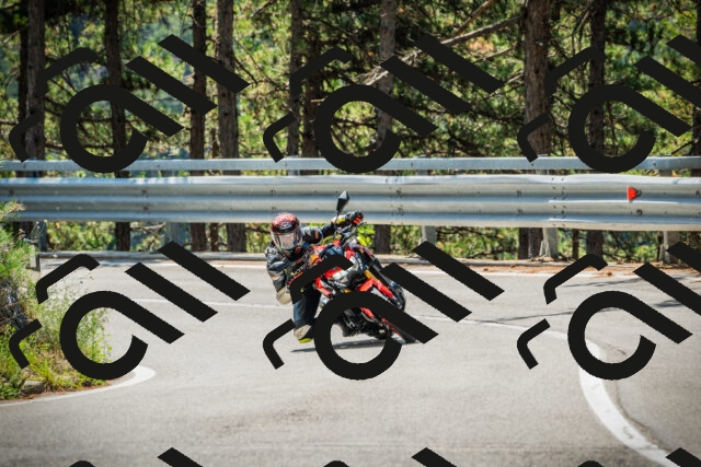 202508091139-DSC04057_c1_