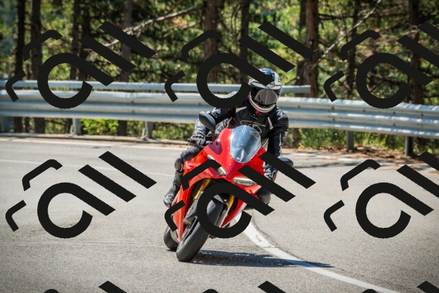 202508091140-DSC04065_c1_