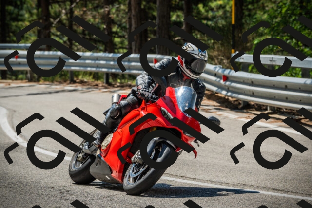 202508091140-DSC04066_c1_