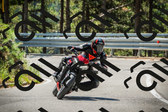 202508091140-DSC04071_c1_