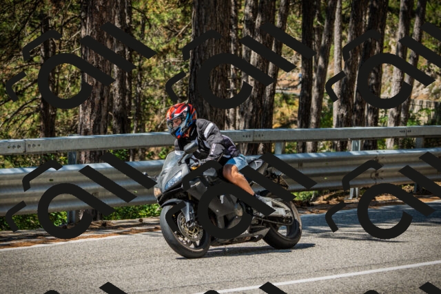 202508091140-DSC04075_c1_