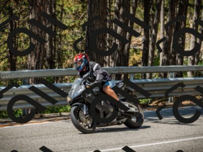 202508091140-DSC04075_c1_