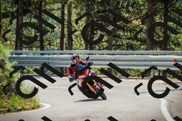 202508091140-DSC04079_c1_