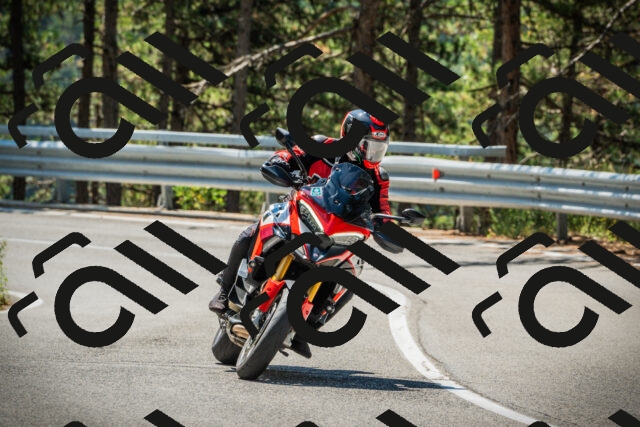 202508091140-DSC04081_c1_