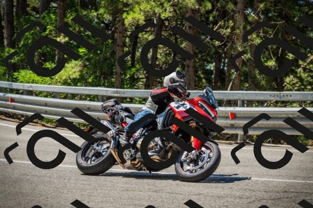 202508091141-DSC04095_c1_