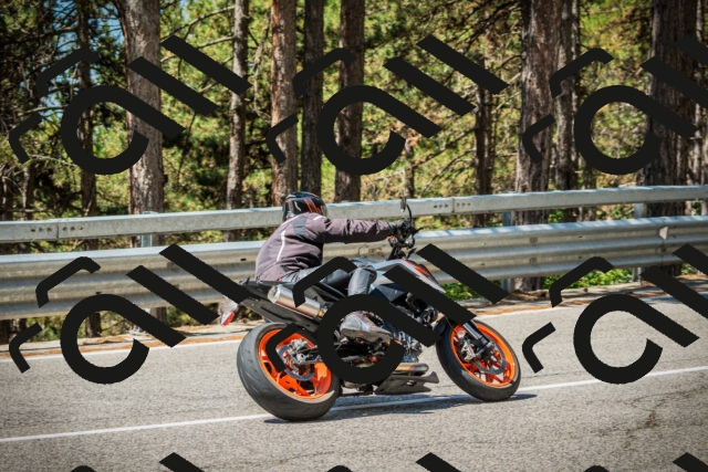 202508091141-DSC04105_c1_