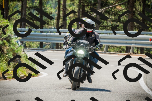 202508091141-DSC04106_c1_