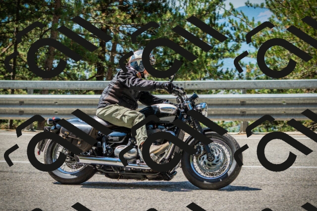 202508091141-DSC04112_c1_