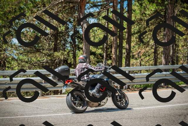 202508091141-DSC04114_c1_