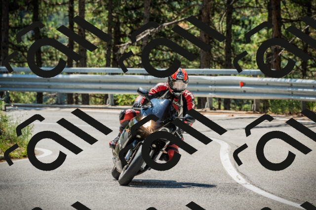 202508091145-DSC04117_c1_