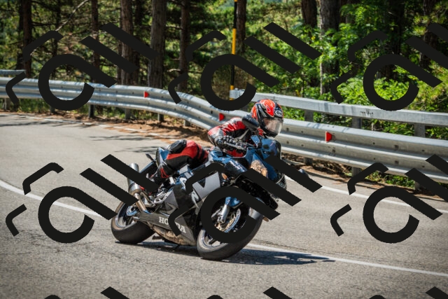 202508091145-DSC04118_c1_