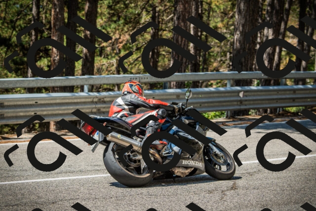 202508091145-DSC04120_c1_