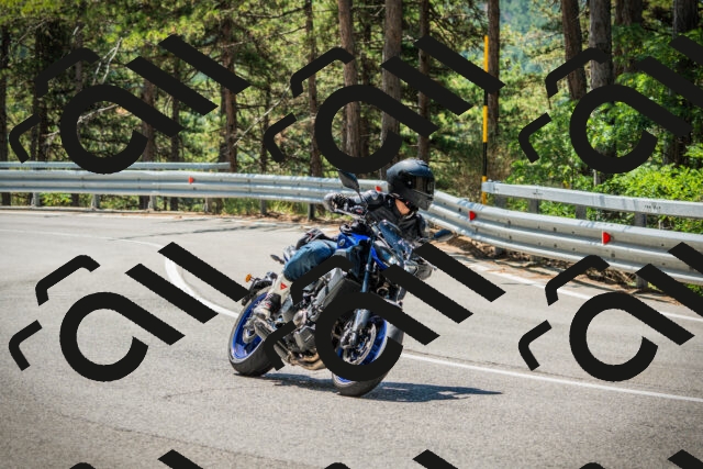 202508091145-DSC04122_c1_