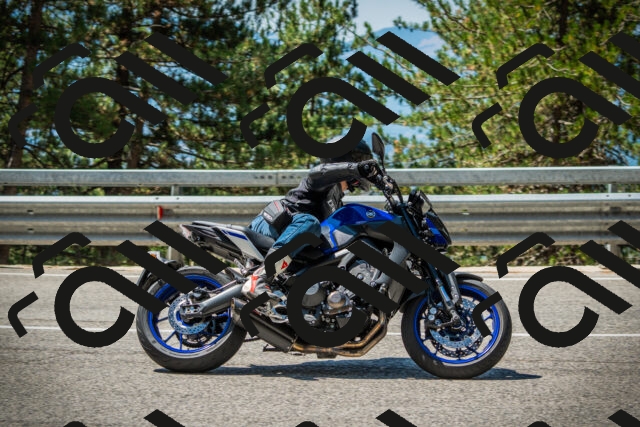 202508091145-DSC04123_c1_