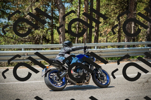 202508091145-DSC04124_c1_