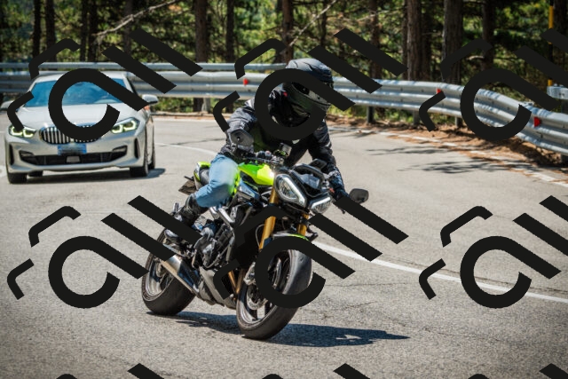 202508091146-DSC04127_c1_