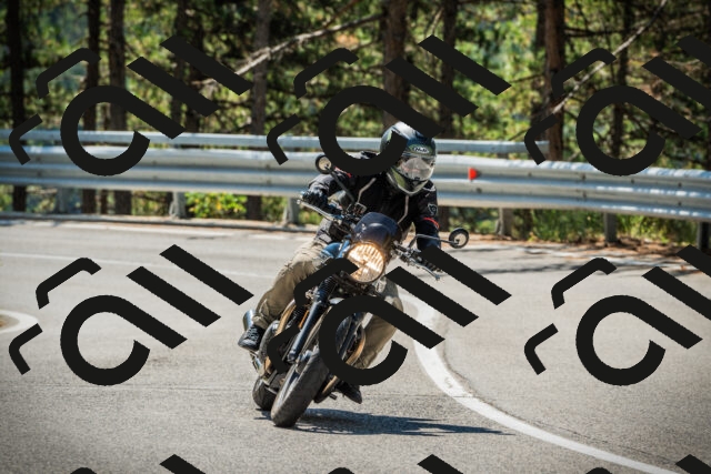 202508091148-DSC04156_c1_