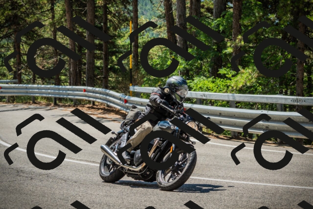 202508091148-DSC04157_c1_