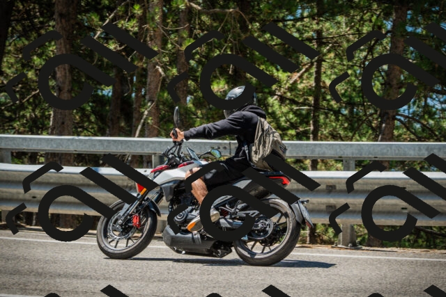 202508091148-DSC04165_c1_