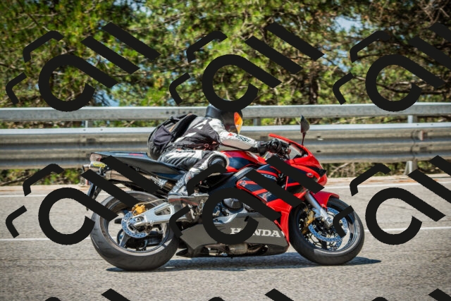 202508091149-DSC04176_c1_