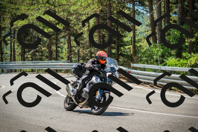 202508091149-DSC04186_c1_