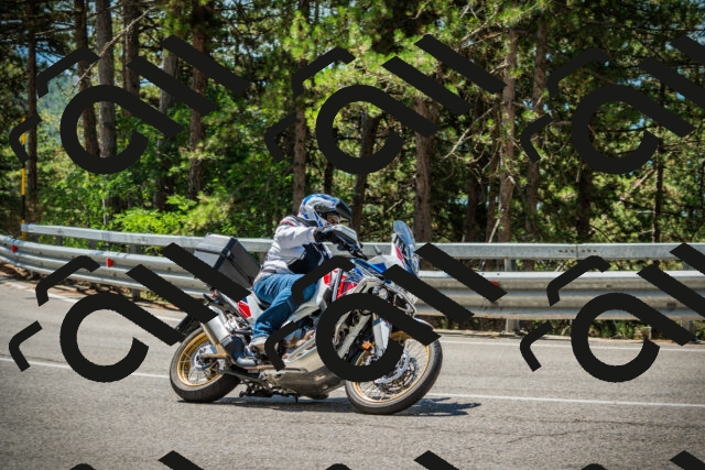 202508091150-DSC04201_c1_