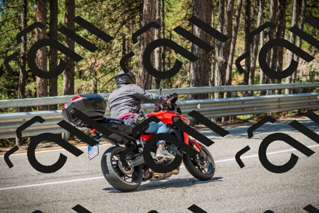 202508091151-DSC04210_c1_