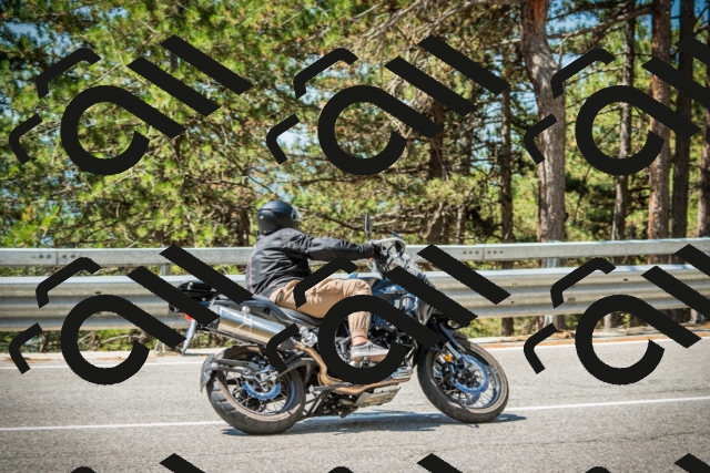 202508091152-DSC04232_c1_