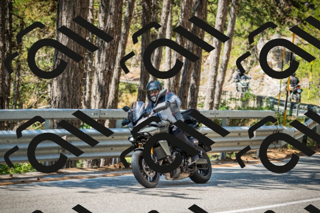 202508091152-DSC04235_c1_