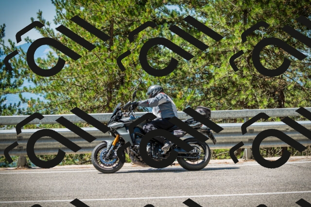 202508091152-DSC04237_c1_