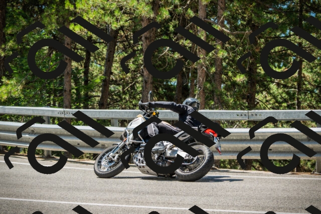 202508091152-DSC04242_c1_