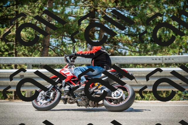 202508091152-DSC04248_c1_