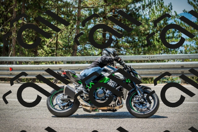 202508091152-DSC04258_c1_