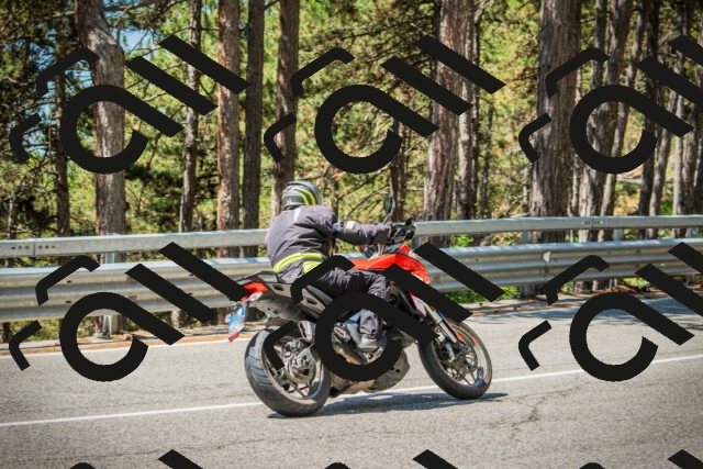 202508091152-DSC04260_c1_