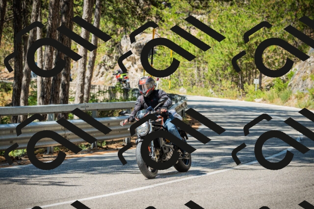 202508091153-DSC04261_c1_