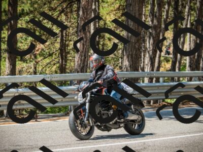 202508091153-DSC04262_c1_