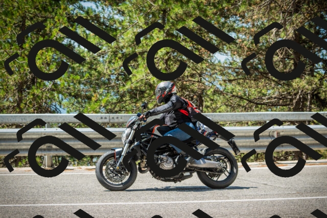 202508091153-DSC04263_c1_