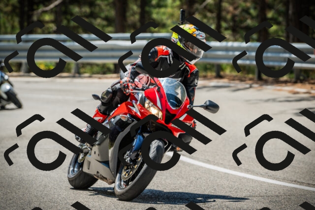 202508091153-DSC04269_c1_