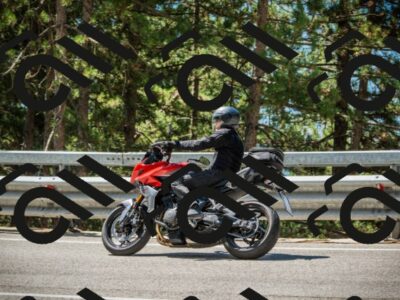 202508091153-DSC04282_c1_