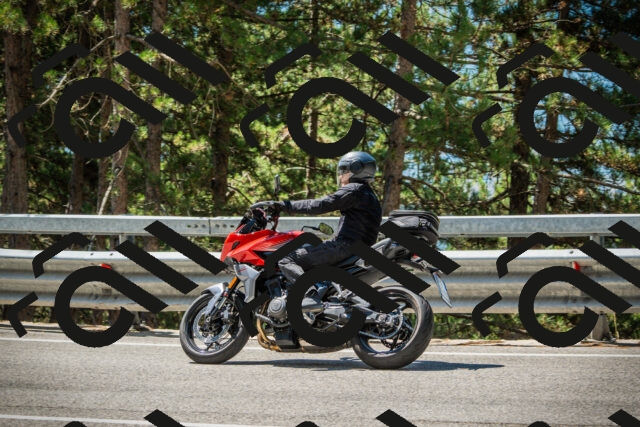 202508091153-DSC04282_c1_