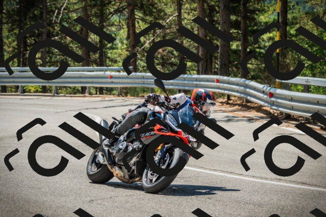 202508091154-DSC04300_c1_