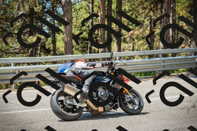 202508091154-DSC04302_c1_