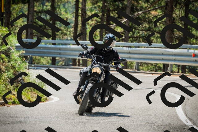 202508091155-DSC04306_c1_