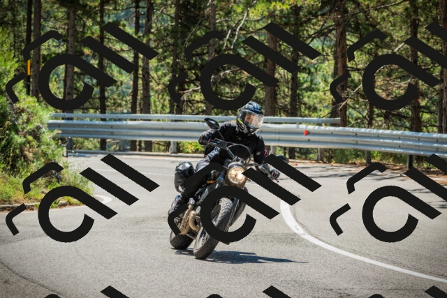 202508091155-DSC04307_c1_