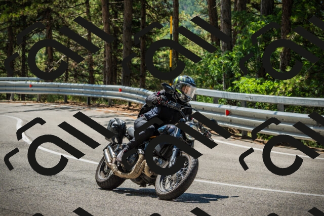 202508091155-DSC04308_c1_