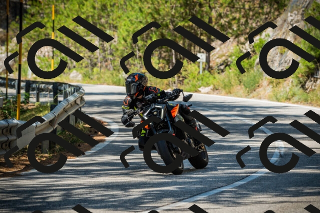 202508091156-DSC04312_c1_