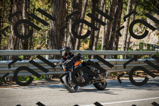 202508091156-DSC04313_c1_