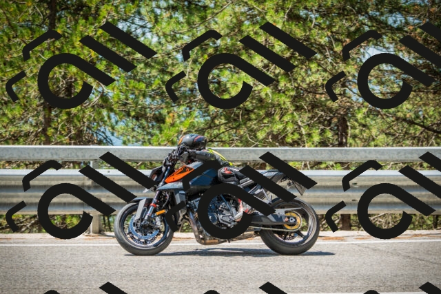 202508091156-DSC04314_c1_